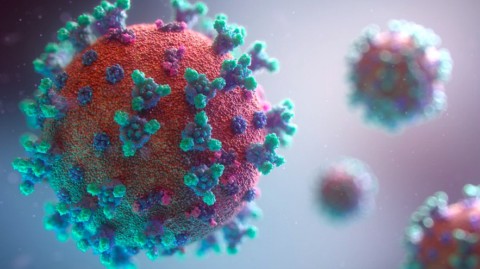 Recommandations modalités de reprise de l’activité de PMA – contexte épidémie SARS-CoV-2